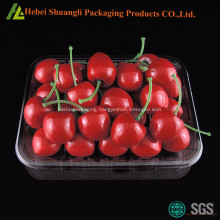 Rectangular plastic fruit packing tray